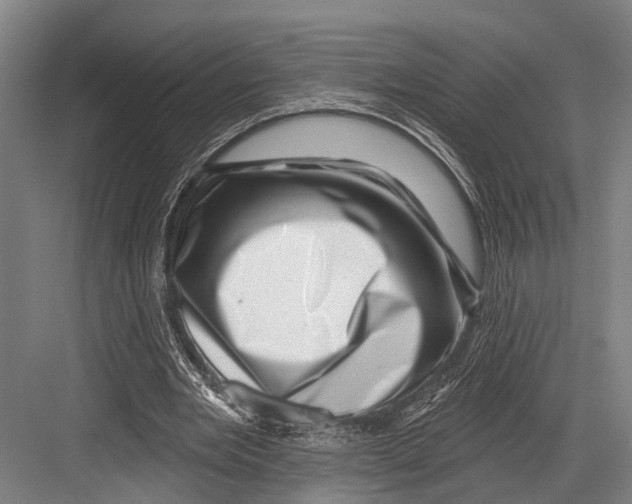 X0000081560485200702121359