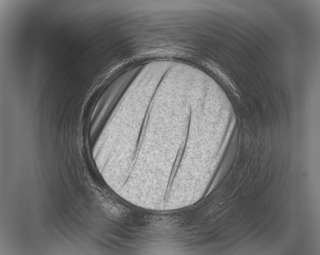 X0000081560486200702121359