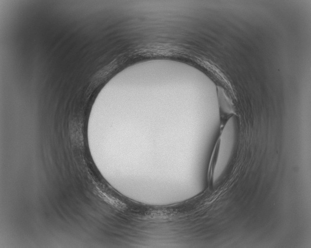 X0000081560489200702121359