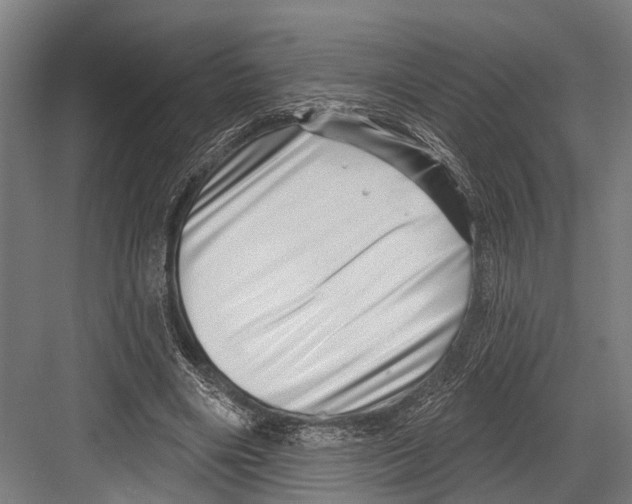 X0000081560490200702121359