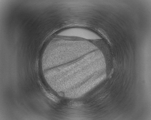 X0000081560491200702121359