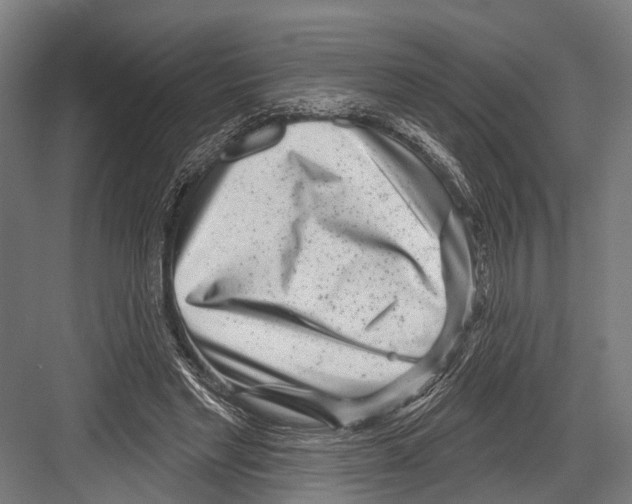 X0000081560493200702121359