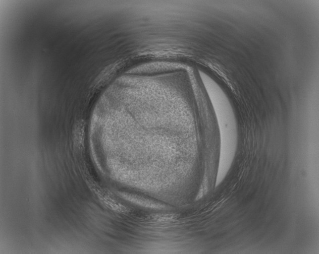 X0000081560495200702121359