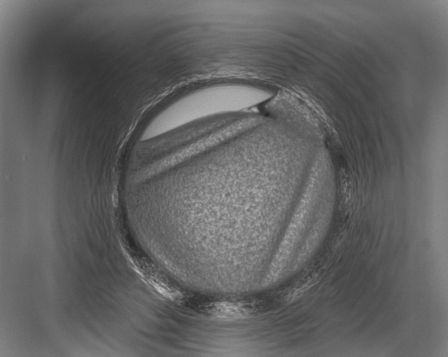 X0000081560496200702121359