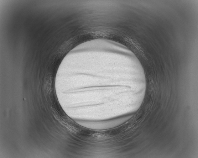 X0000081560498200702121359