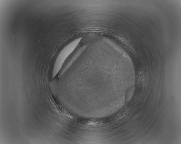 X0000081560504200702121359