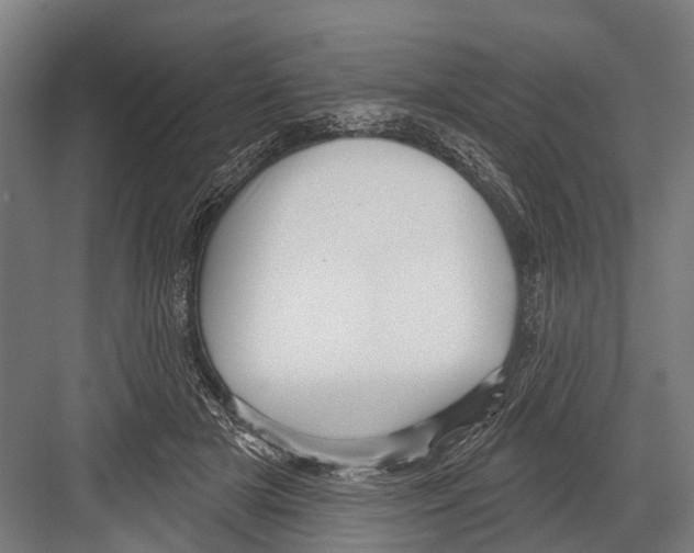X0000081560505200702121359