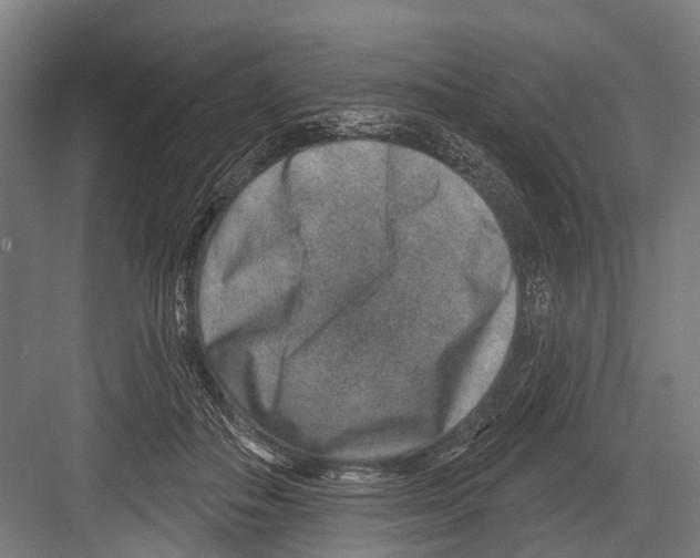 X0000081560506200702121359