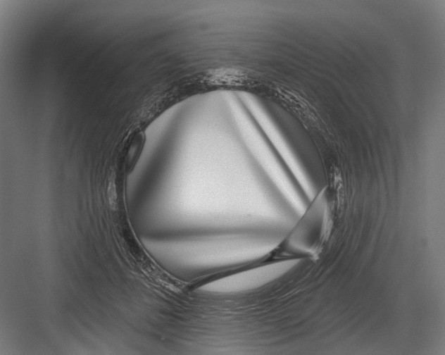 X0000081560508200702121359
