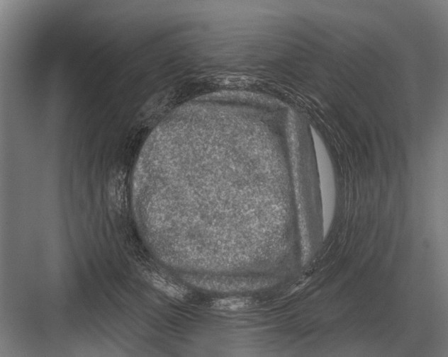 X0000081560511200702121359