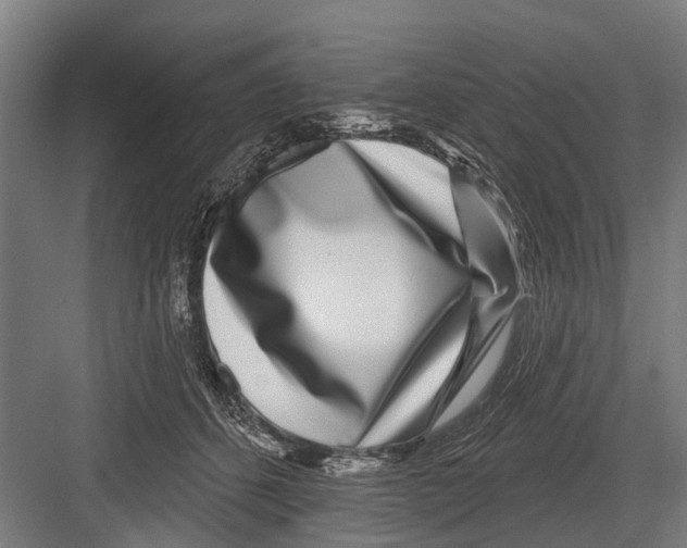 X0000081560512200702121359