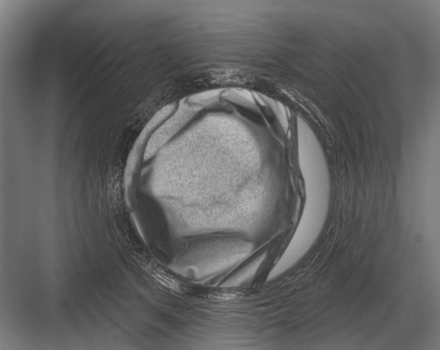 X0000081560513200702121359