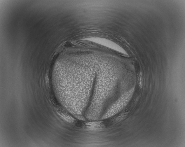 X0000081560516200702121359
