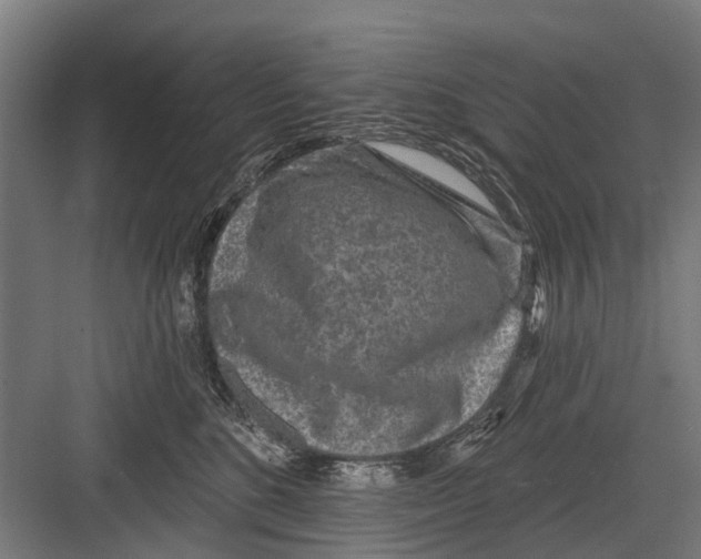 X0000081560520200702121359