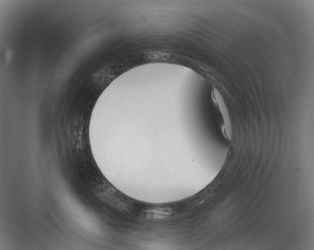 X0000081560525200702121359