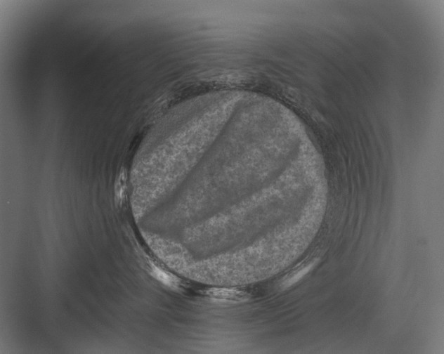 X0000081560528200702121359