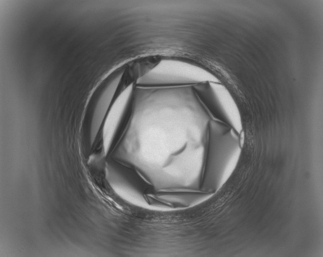X0000081560532200702121358