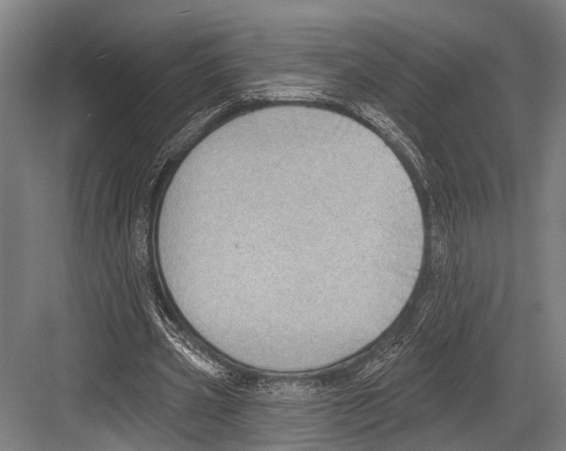X0000081560533200702121358