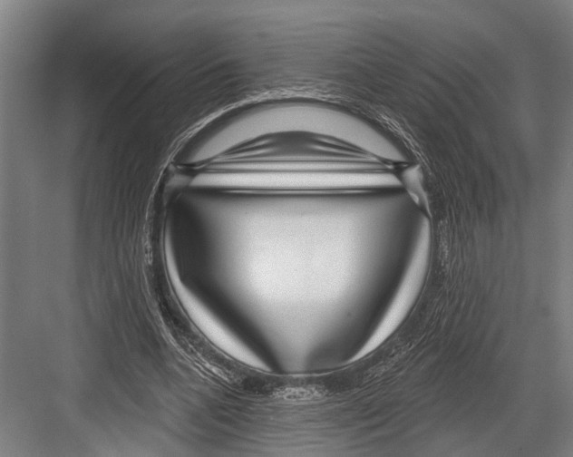 X0000081560536200702121358