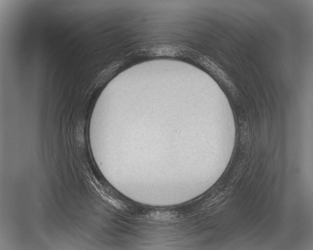 X0000081560537200702121358