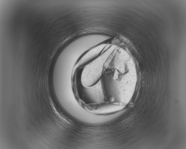 X0000081560538200702121358