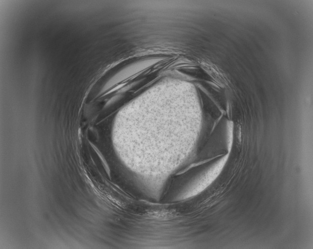 X0000081560540200702121358