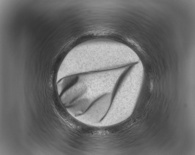 X0000081560543200702121358