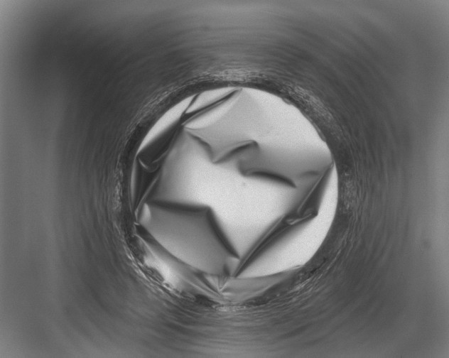 X0000081560544200702121358