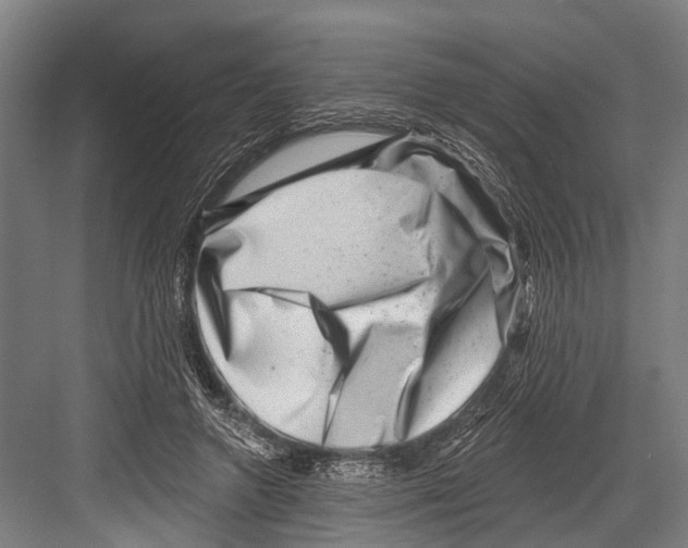 X0000081560546200702121358