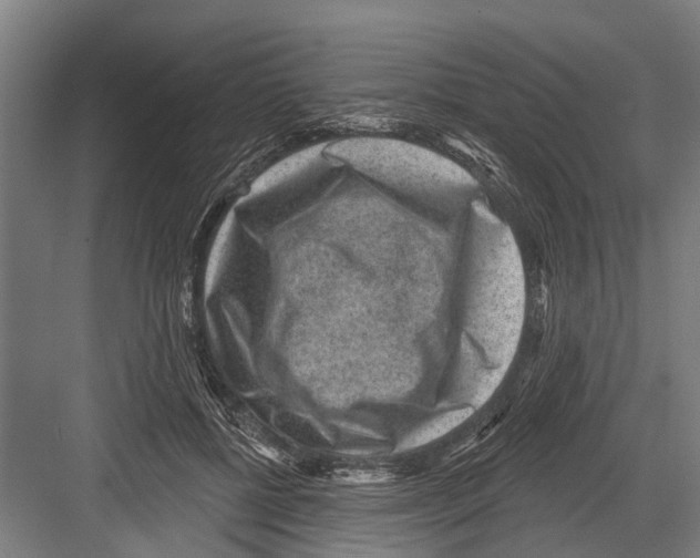 X0000081560552200702121358
