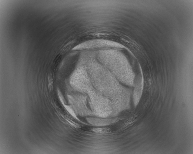 X0000081560558200702121358