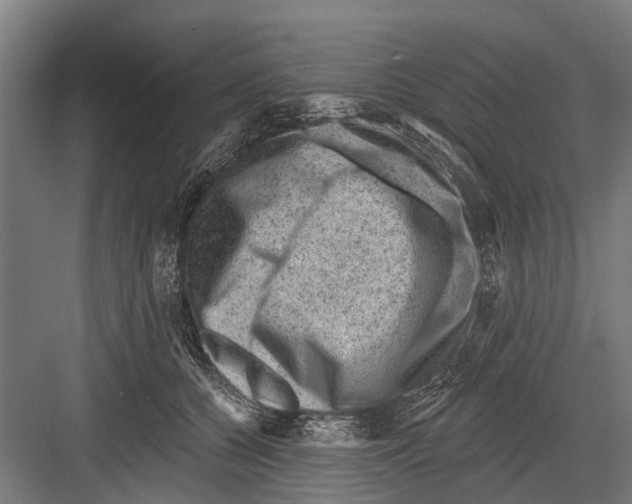 X0000081560560200702121358