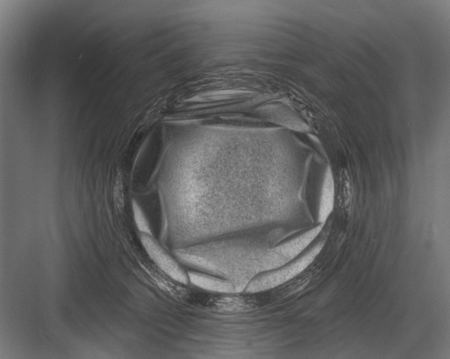 X0000081560562200702121358