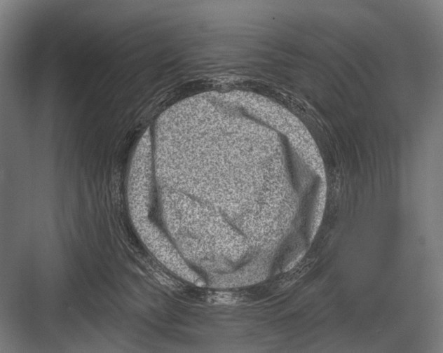 X0000081560565200702121358