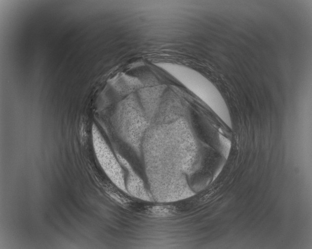 X0000081560566200702121358