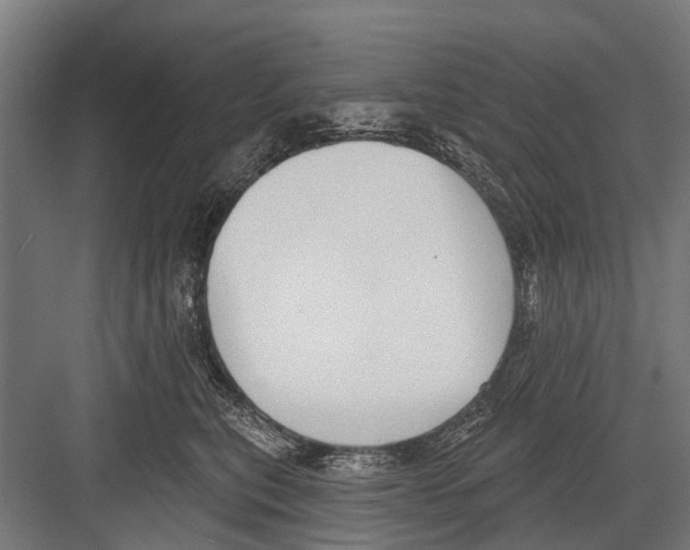 X0000081560567200702121358