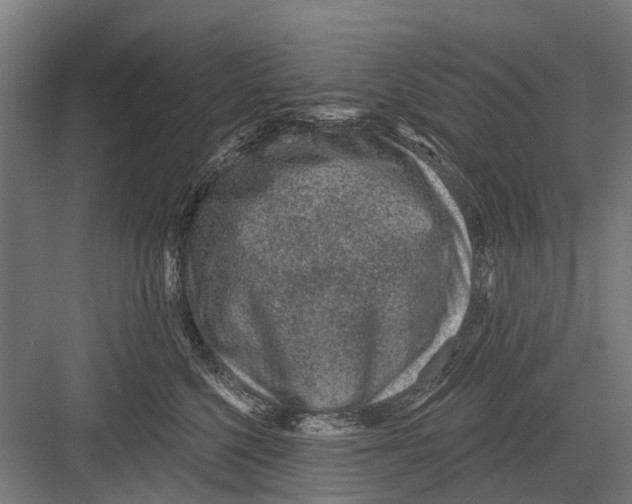 X0000081560568200702121359