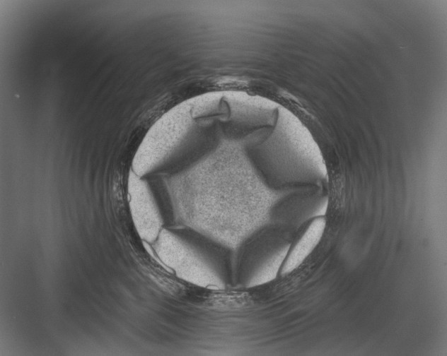X0000081560571200702121359
