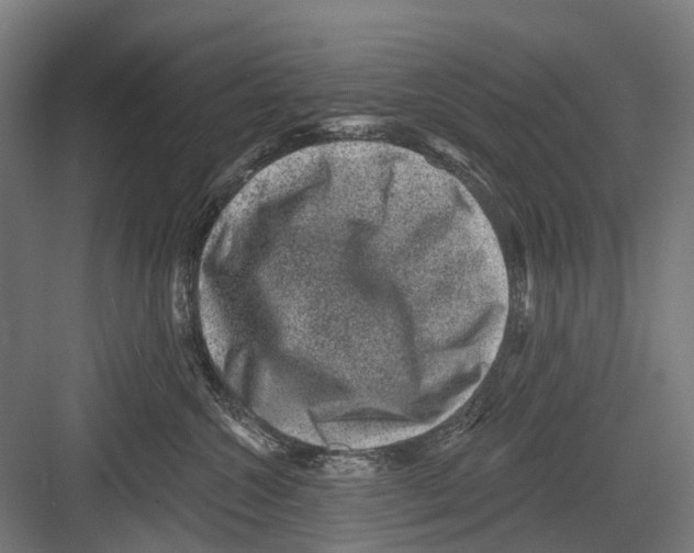 X0000081560572200702121359