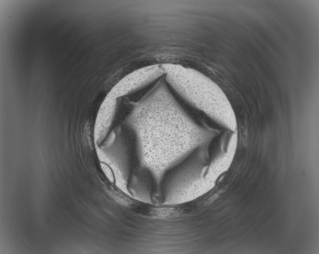 X0000081560575200702121359