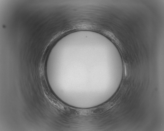 X0000081560579200702121358
