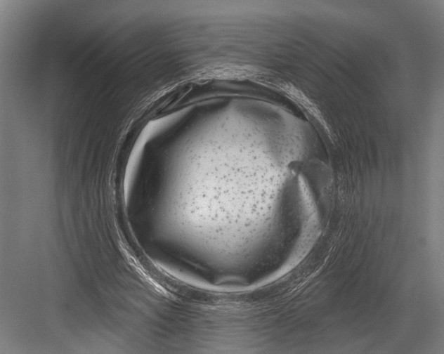 X0000081560581200702121358