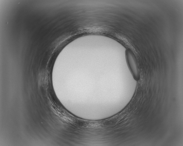 X0000081560583200702121358