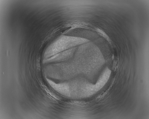 X0000081560585200702121358