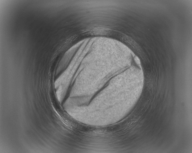 X0000081560586200702121358