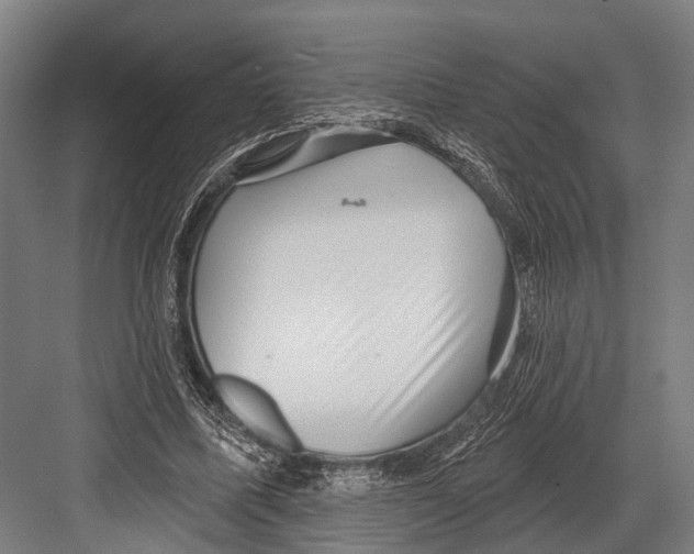 X0000081560587200702121358
