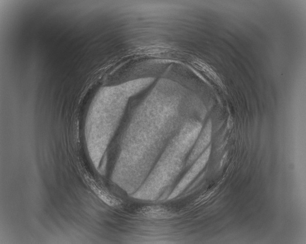 X0000081560589200702121358
