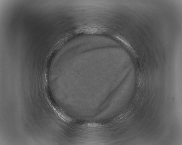 X0000081560590200702121358