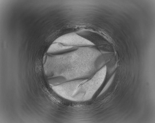 X0000081560593200702121358
