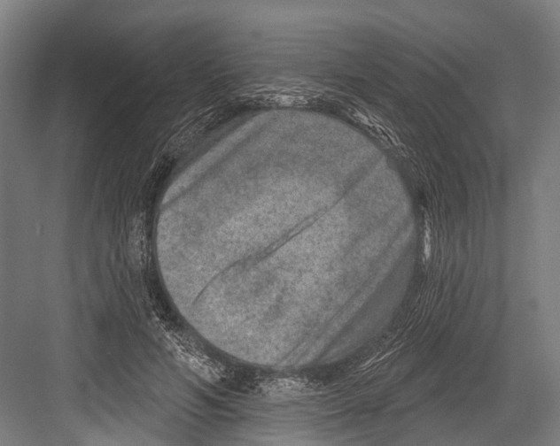 X0000081560594200702121358